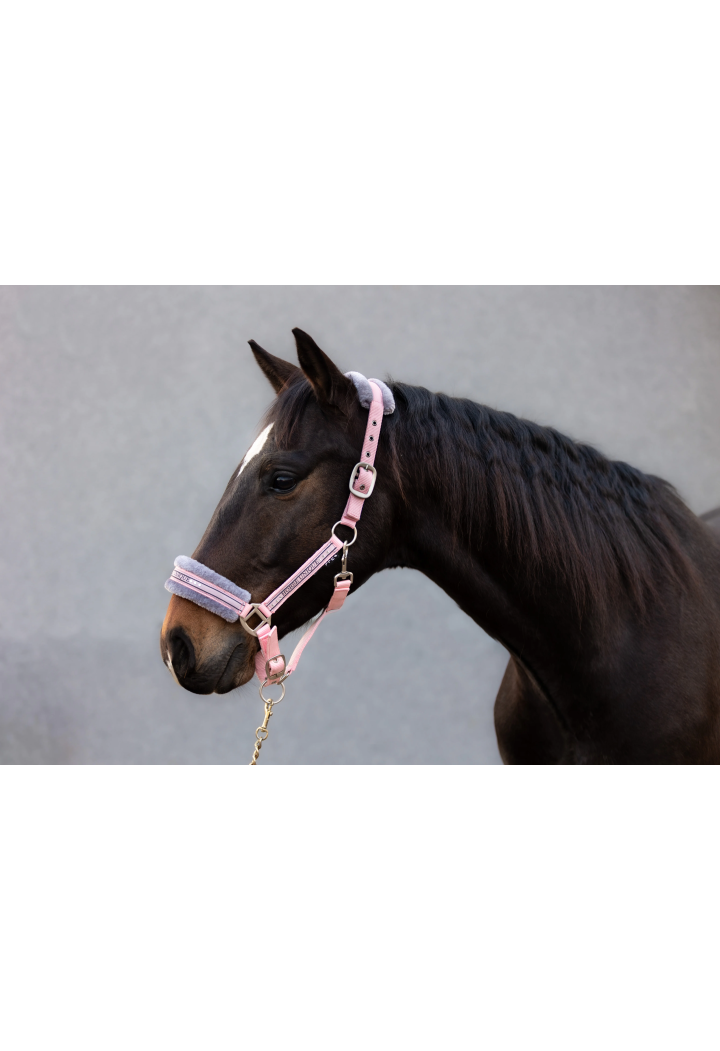 Kantar START Elegance