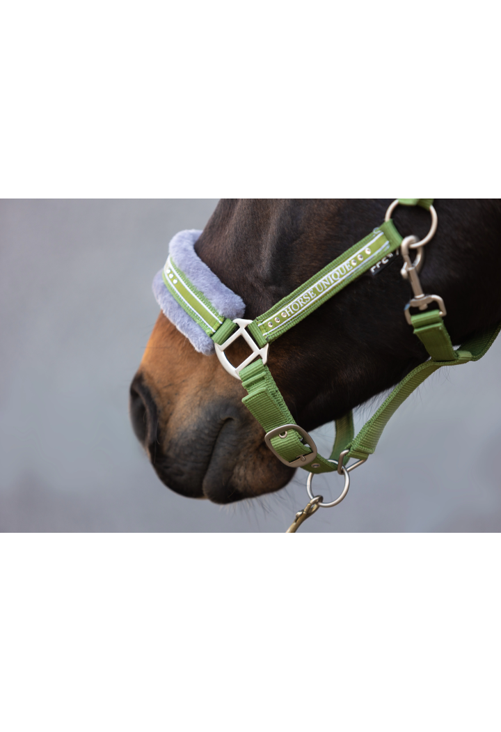 Kantar START Elegance