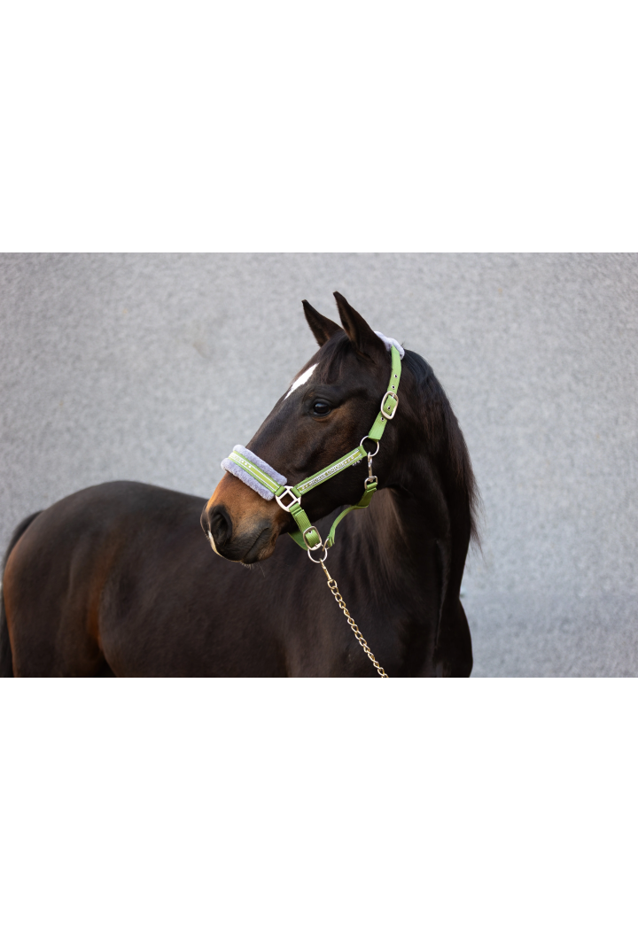 Kantar START Elegance