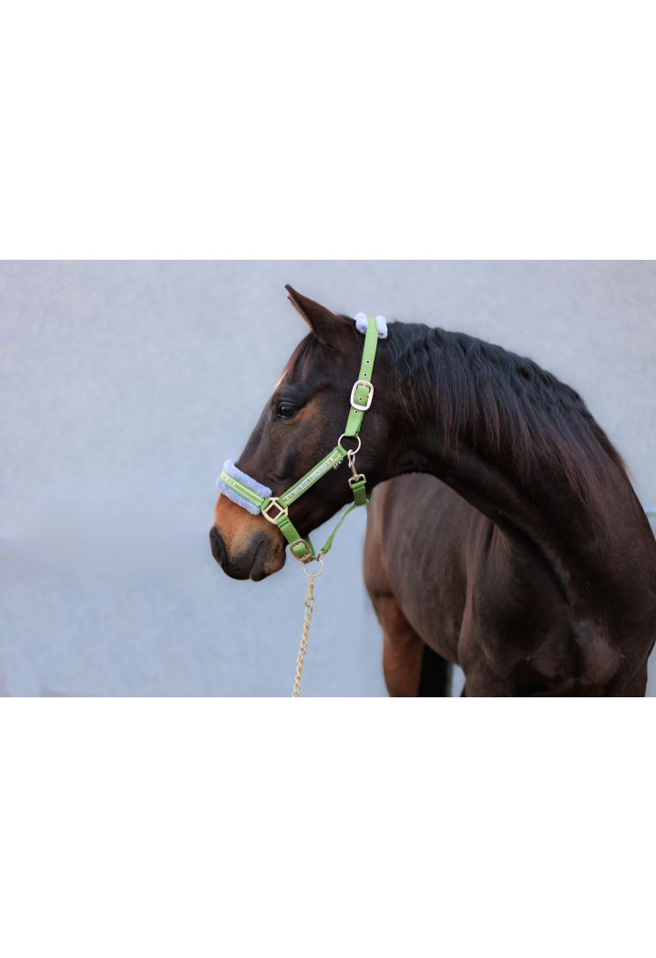 Kantar START Elegance