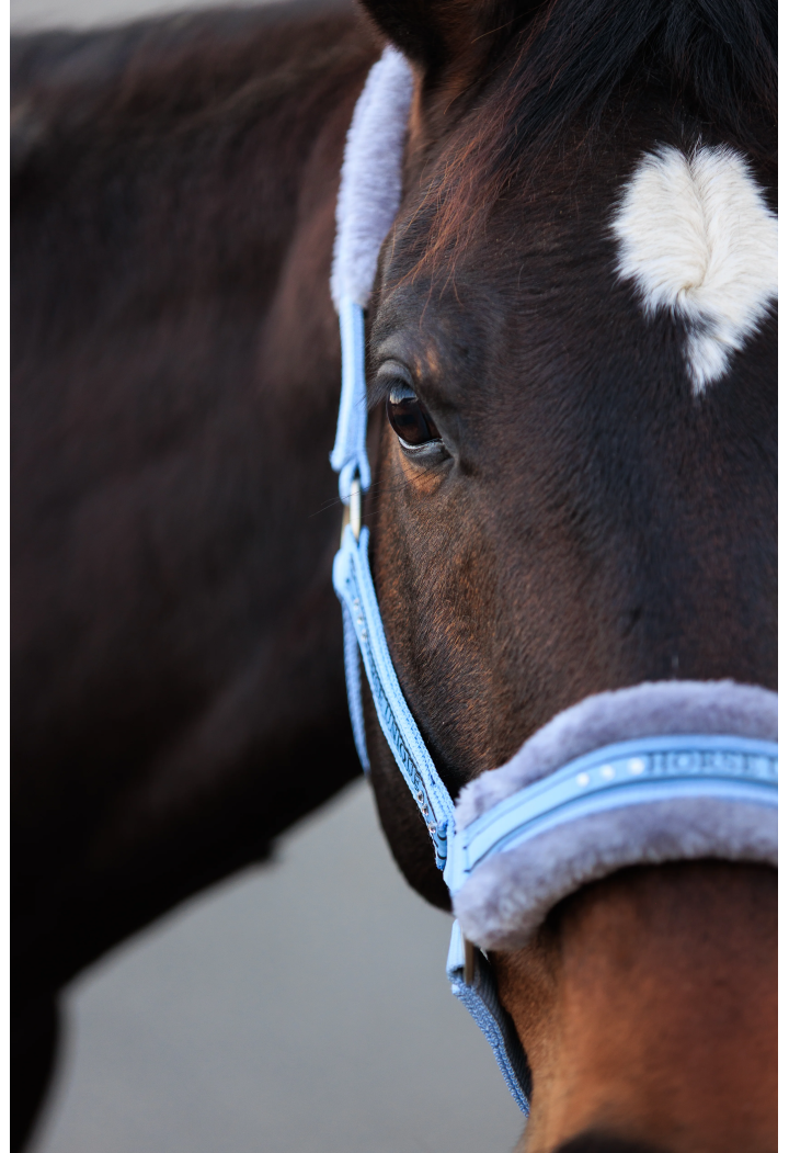 Kantar START Elegance