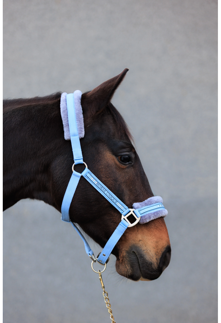 Kantar START Elegance