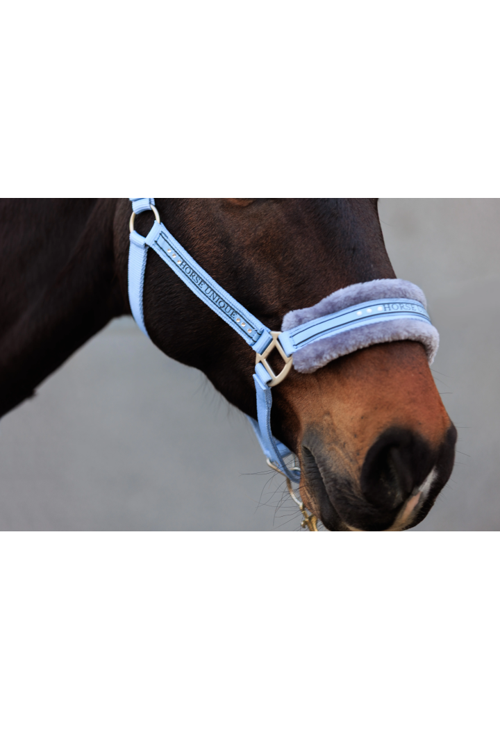 Kantar START Elegance