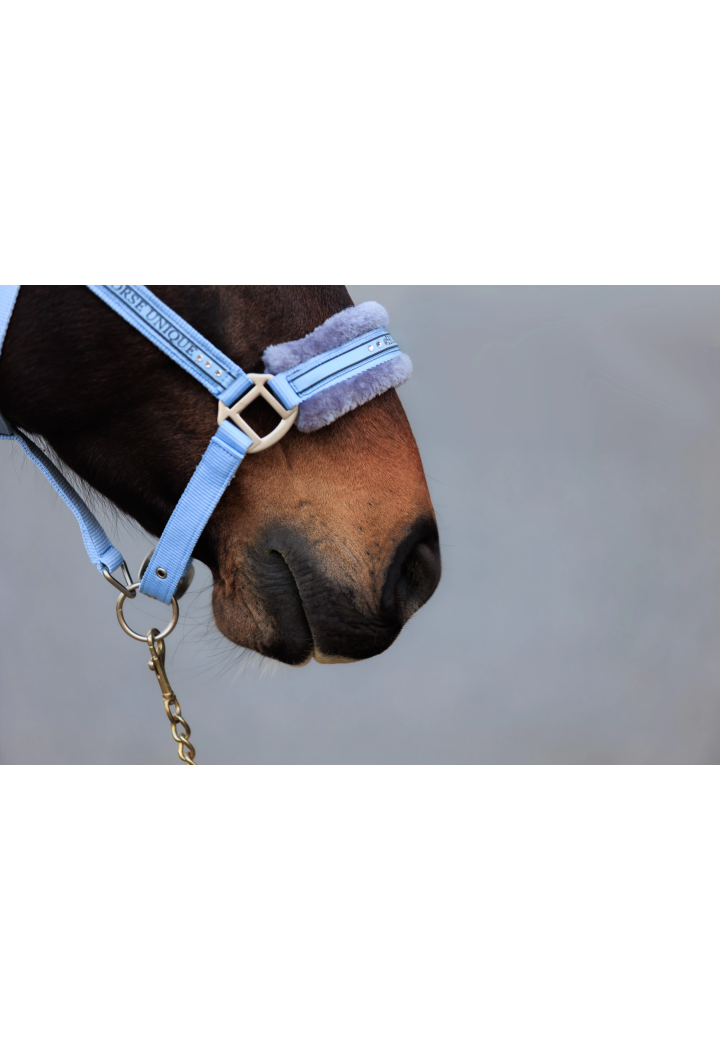 Kantar START Elegance