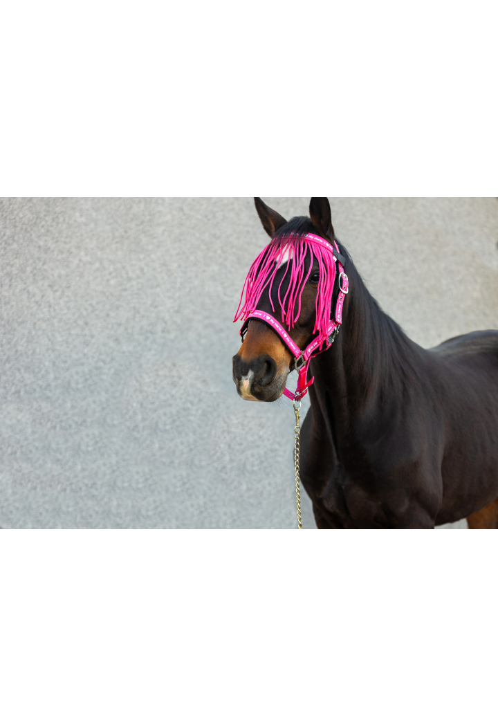 Naczółek z frędzelkami START ILoveMyHorse