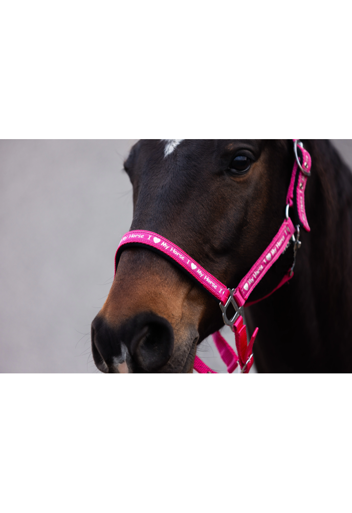 Kantar START ILoveMyHorse ranipink