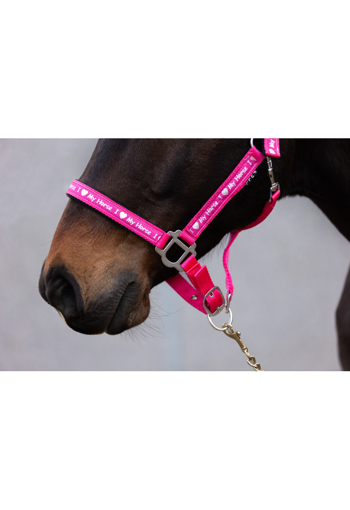 Kantar START ILoveMyHorse ranipink