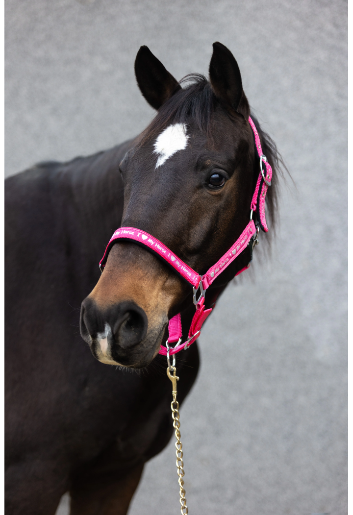 Kantar START ILoveMyHorse ranipink