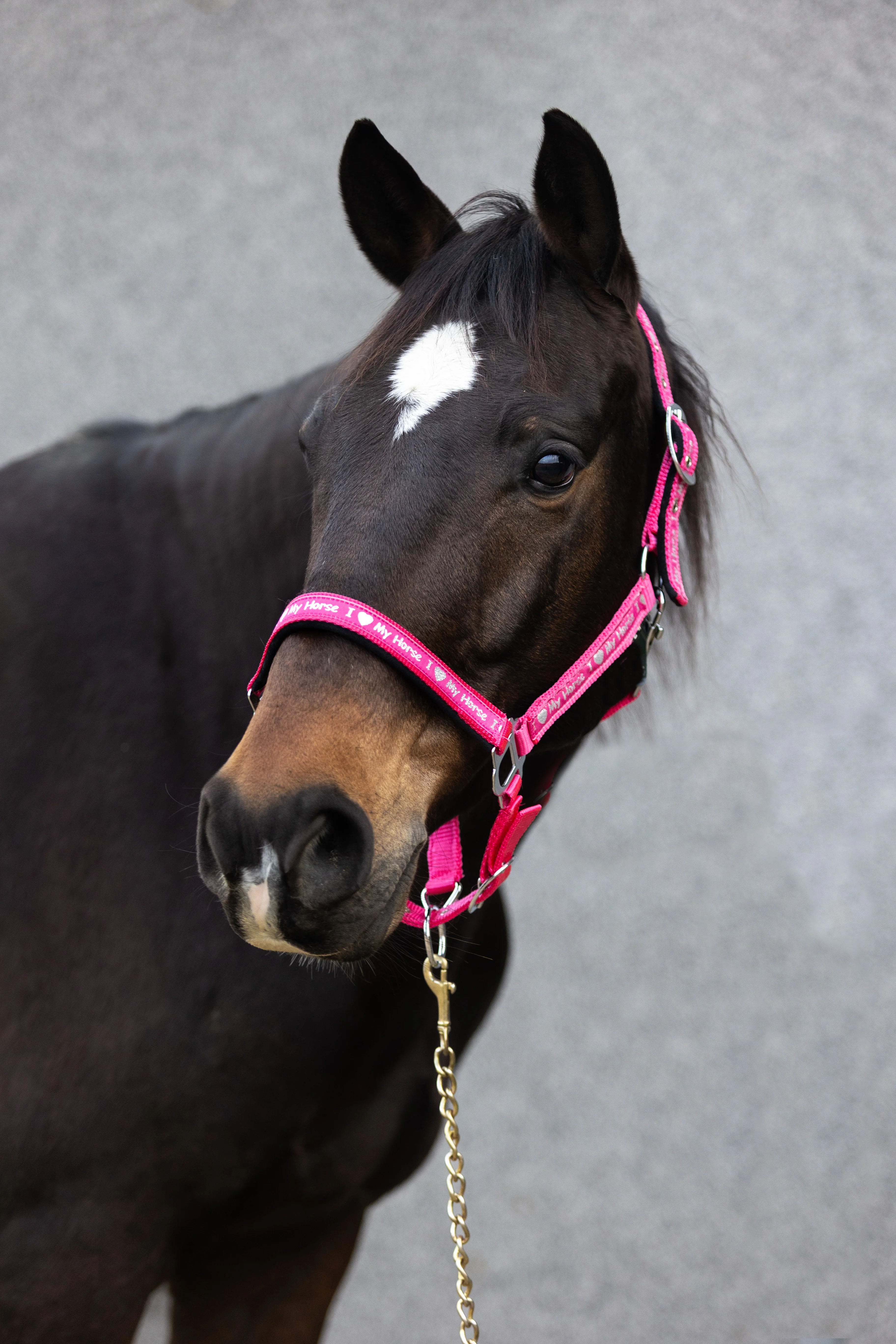 Kantar START ILoveMyHorse ranipink