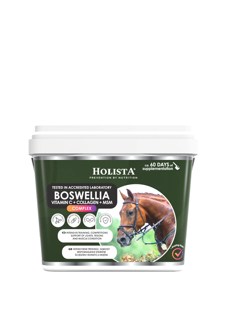 Boswellia Serrata Complex HOLISTA 1000g