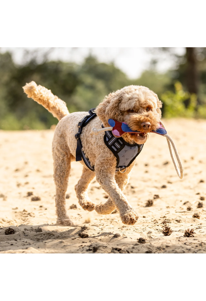 Zabawka dla psa QHP wiosna/lato 2026