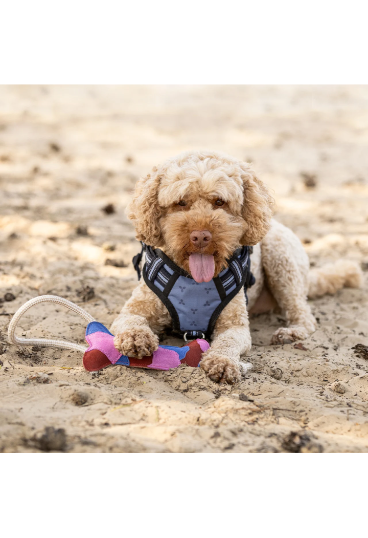 Zabawka dla psa QHP wiosna/lato 2026