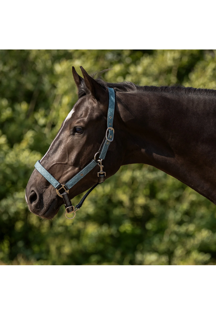 Kantar z uwiązem QHP Collection wiosna/lato 2026