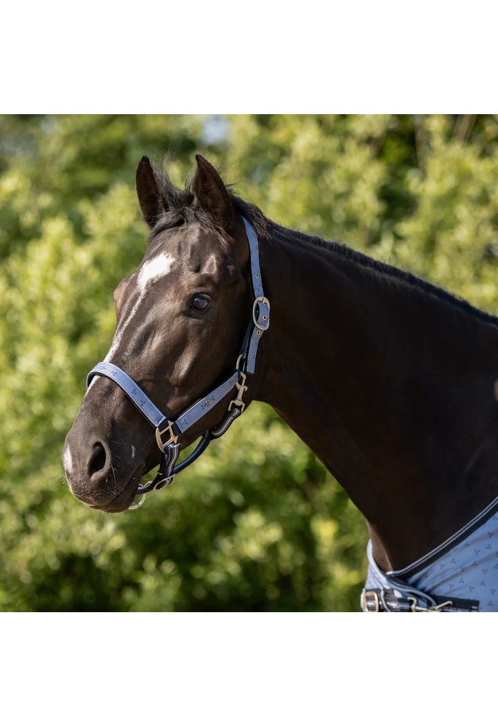 Kantar z uwiązem QHP Collection wiosna/lato 2026