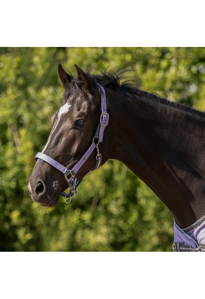 Kantar z uwiązem QHP Collection wiosna/lato 2026