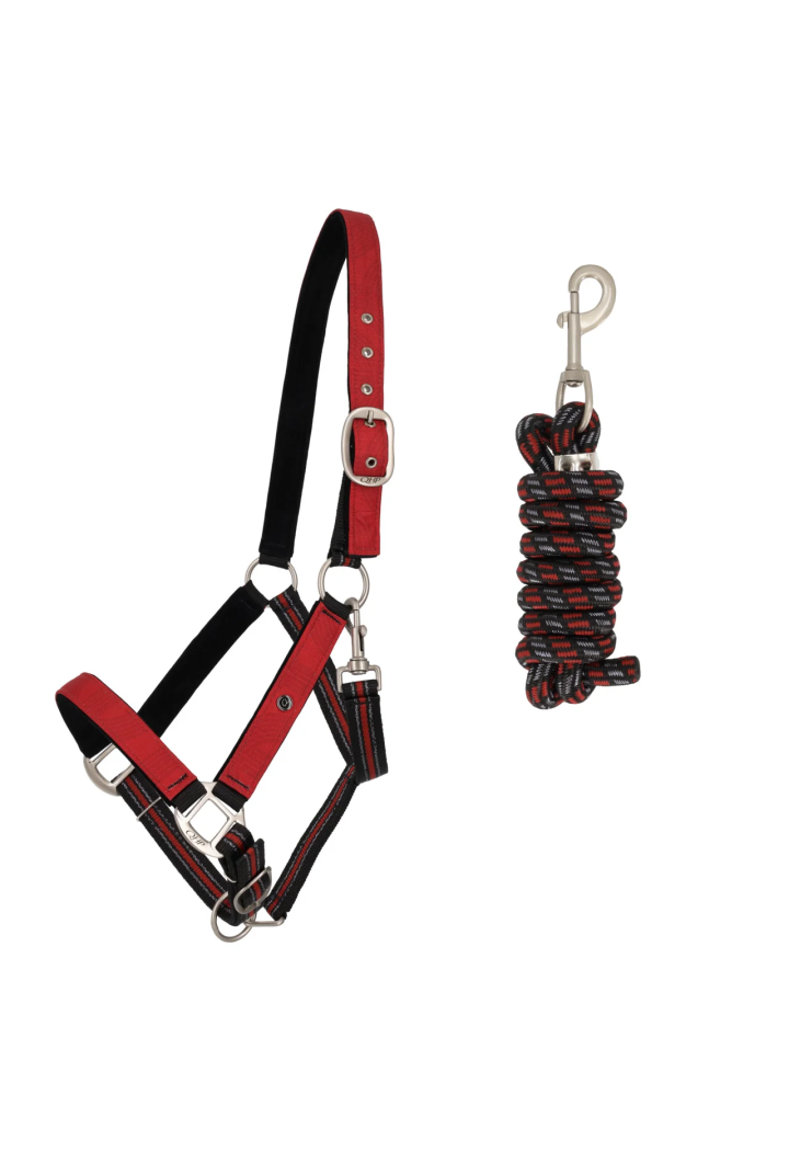 Kantar z uwiązem QHP Collection wiosna/lato 2026