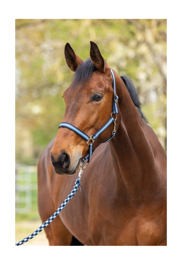 Kantar COVALLIERO Hippo wiosna/lato 2026