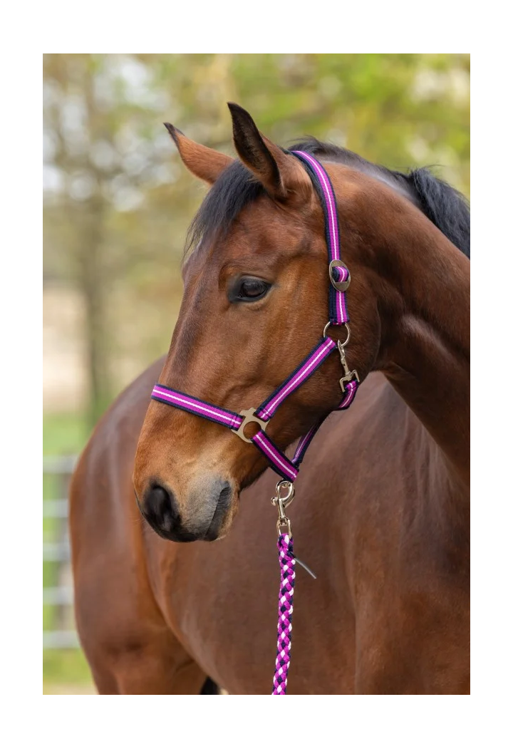 Kantar COVALLIERO Hippo wiosna/lato 2026