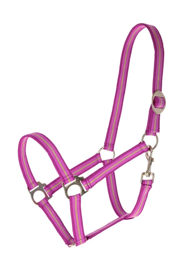 Kantar COVALLIERO Hippo wiosna/lato 2026