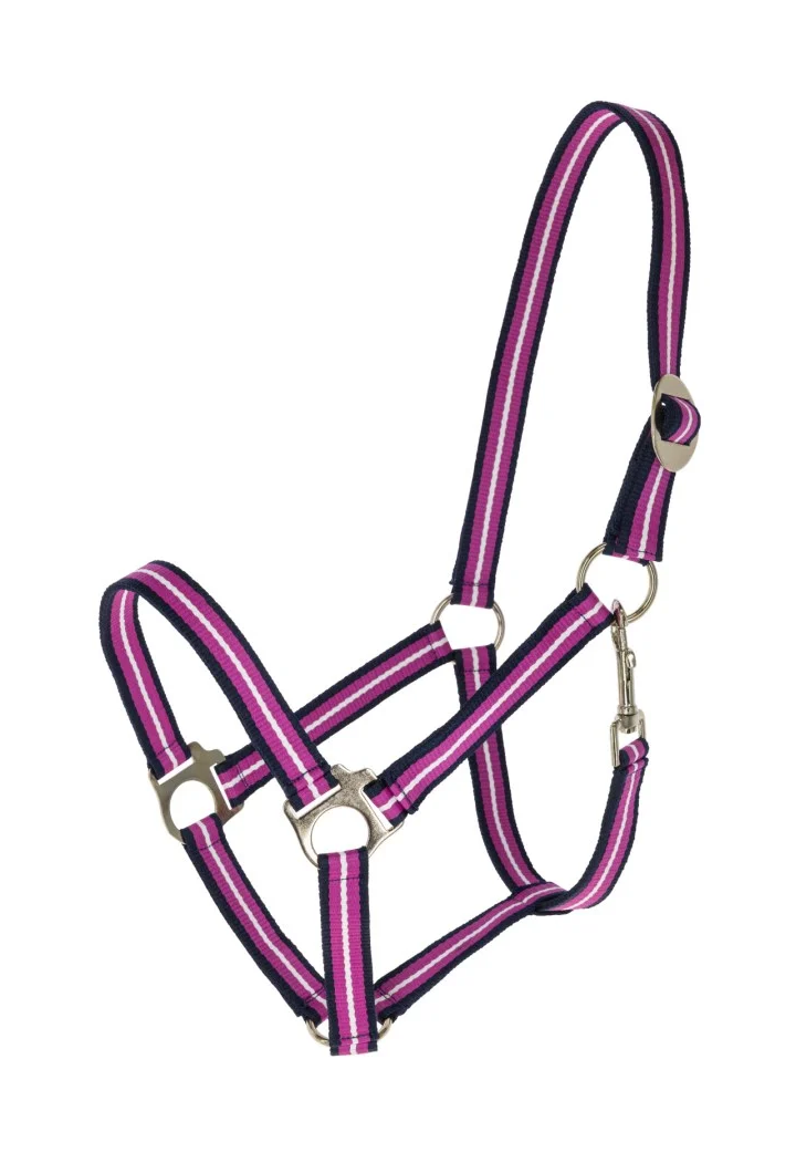 Kantar COVALLIERO Hippo wiosna/lato 2026