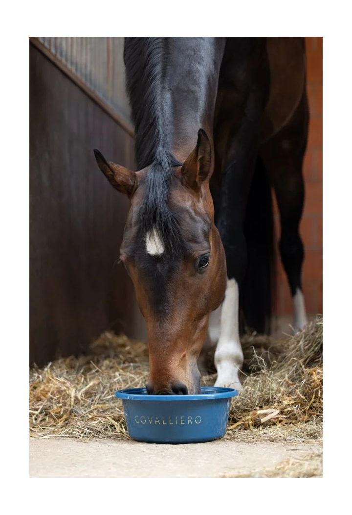Miska na paszę COVALLIERO wiosna/lato 2026