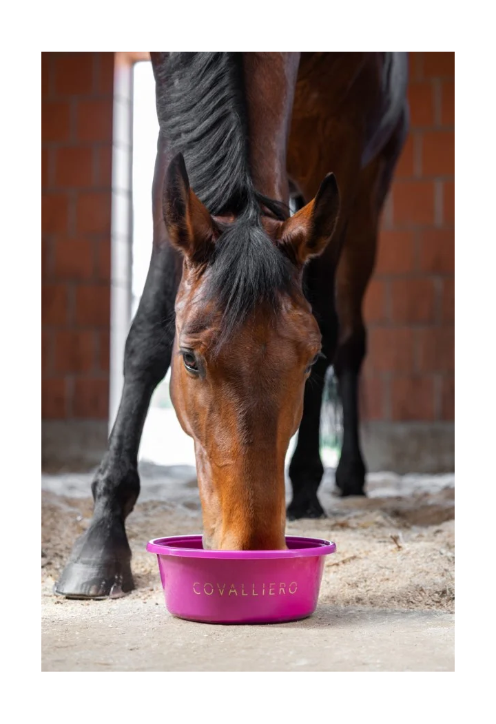 Miska na paszę COVALLIERO wiosna/lato 2026