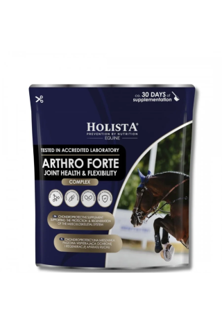 Suplement na stawy HOLISTA Arthro Forte 600g