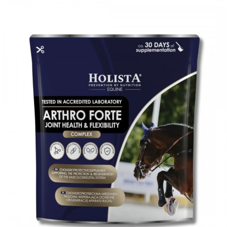 Suplement na stawy HOLISTA Arthro Forte 600g