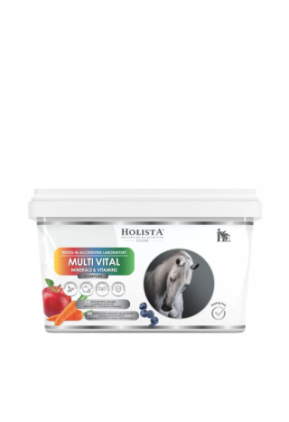 Witaminy HOLISTA Multivital 3500g
