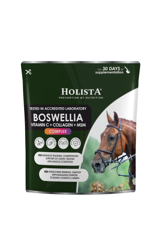 Suplement HOLISTA Boswellia Serrata Complex 500g