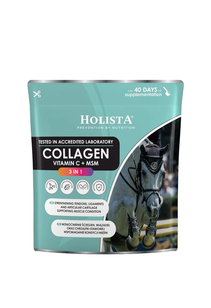 Suplement Kolagen HOLISTA Collagen 3 in 1 600g