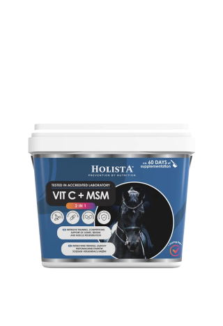Suplement HOLISTA Vitamin C+MSM 1000g