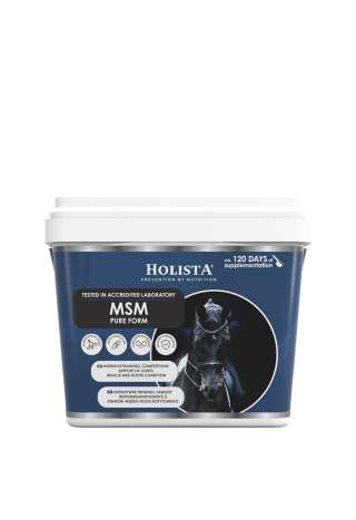 Suplement HOLISTA MSM Pure 900g