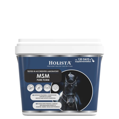 Suplement HOLISTA MSM Pure 900g