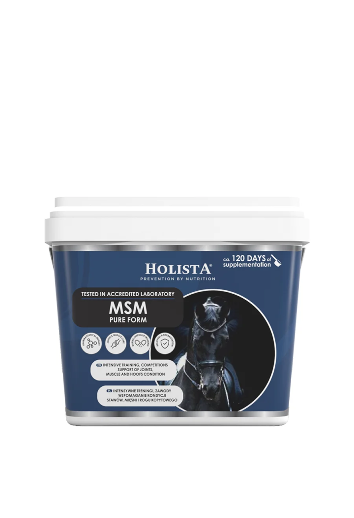 Suplement HOLISTA MSM Pure 900g