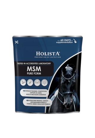 Suplement HOLISTA MSM Pure 450g