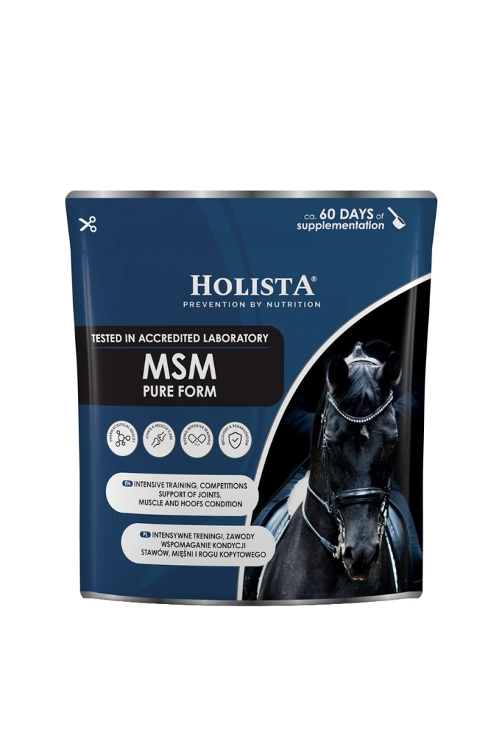 Suplement HOLISTA MSM Pure 450g