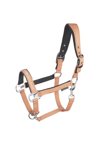 Kantar WALDHAUSEN Athletic wiosna/lato 2026