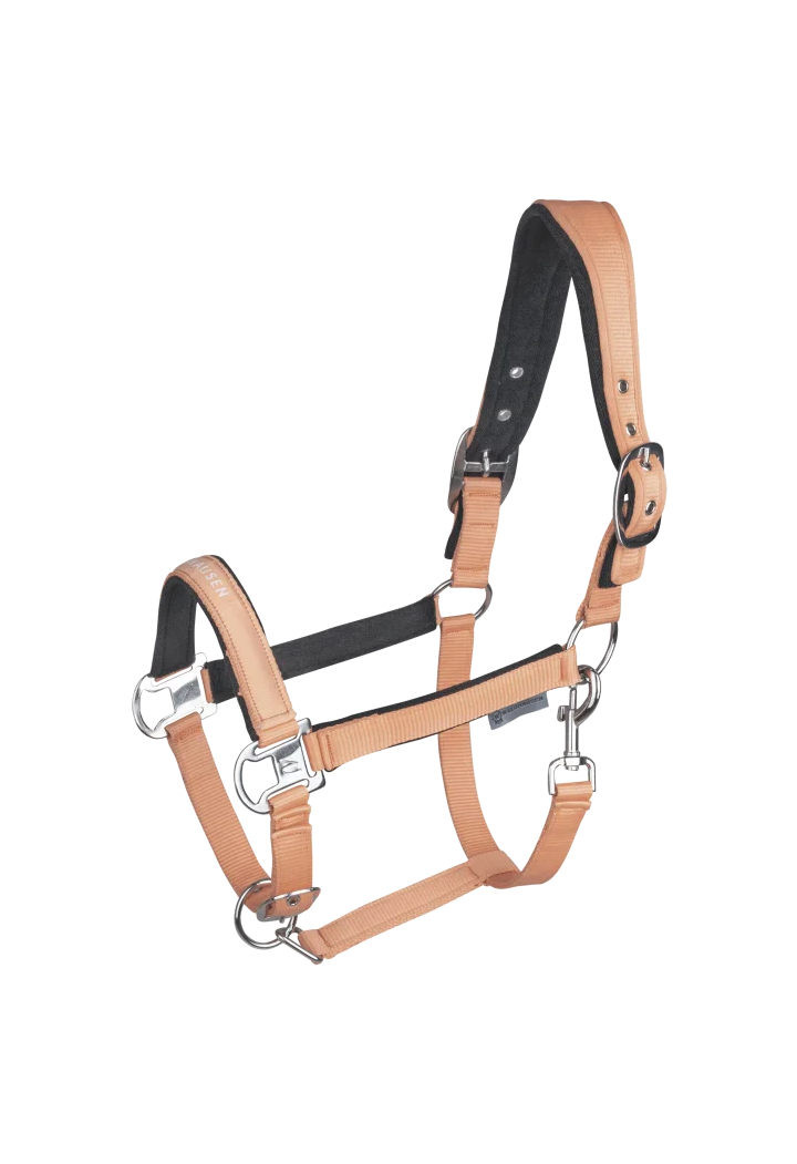 Kantar WALDHAUSEN Athletic wiosna/lato 2026