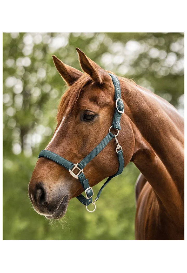 Kantar WALDHAUSEN Satin