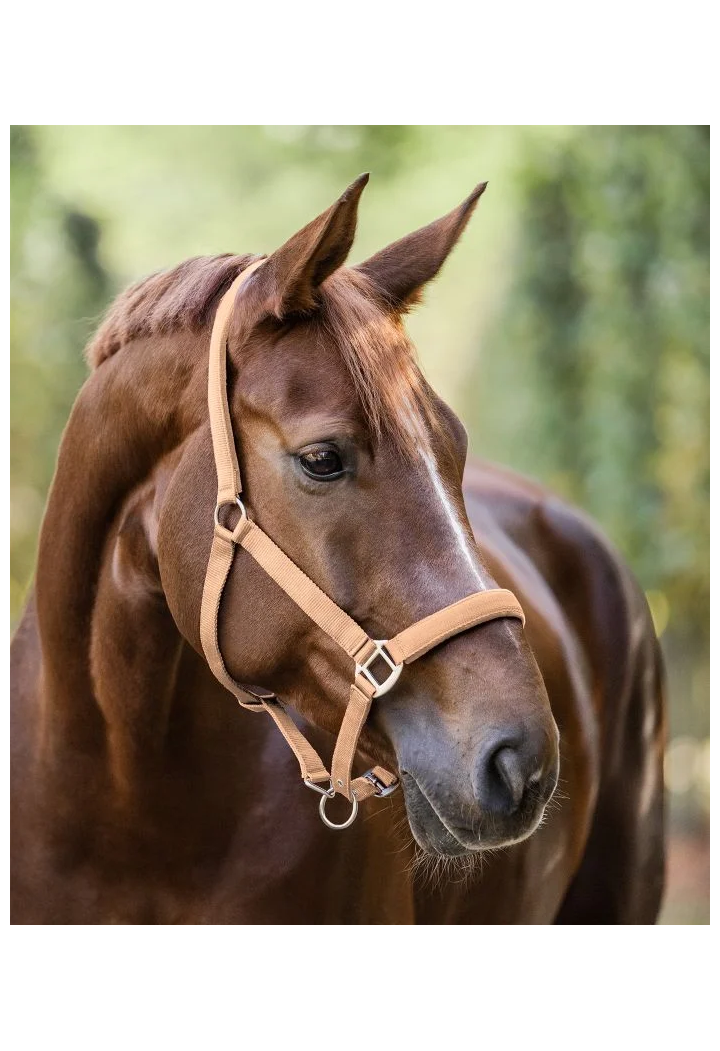 Kantar WALDHAUSEN Satin