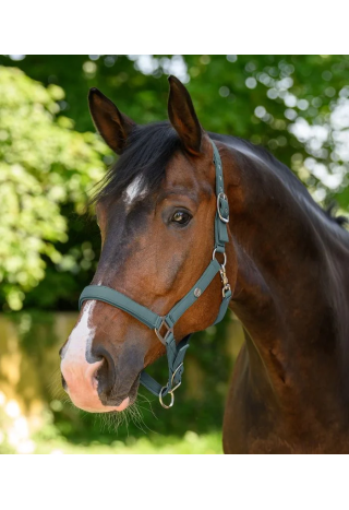 Kantar WALDHAUSEN Trinidad wiosna/lato 2026