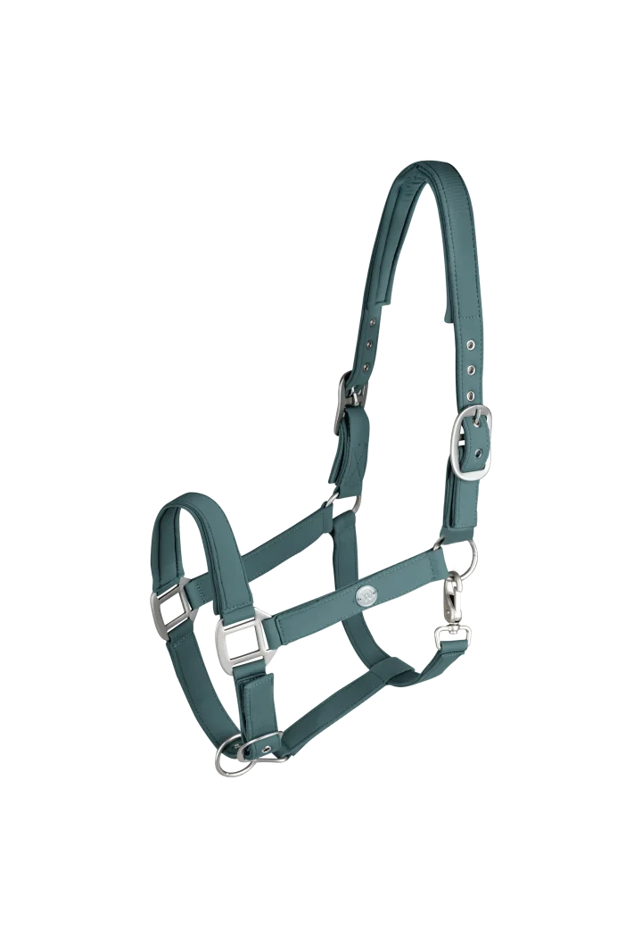 Kantar WALDHAUSEN Trinidad wiosna/lato 2026