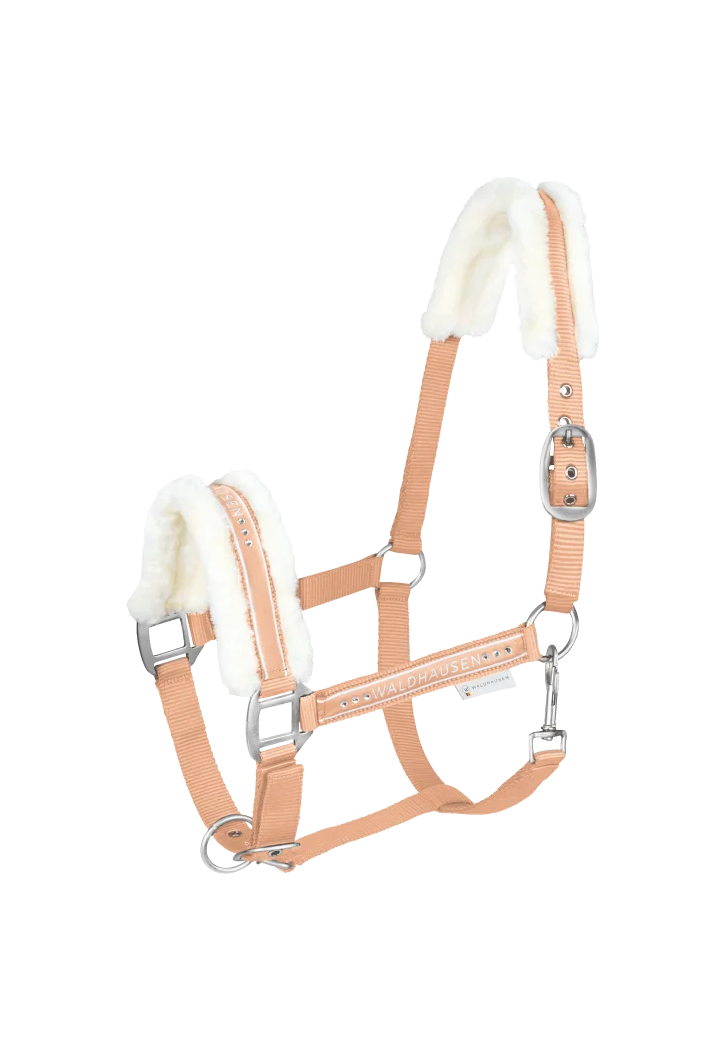 Kantar WALDHAUSEN Elegant wiosna/lato 2026