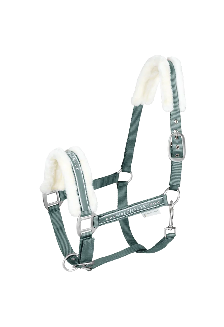 Kantar WALDHAUSEN Elegant wiosna/lato 2026