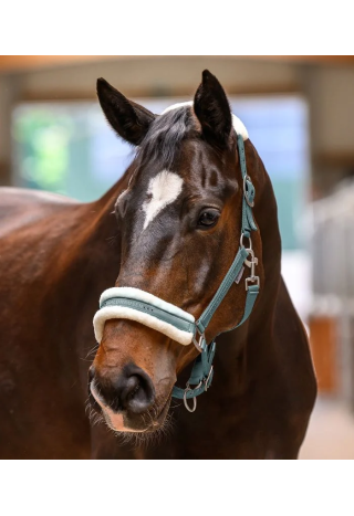 Kantar WALDHAUSEN Elegant wiosna/lato 2026