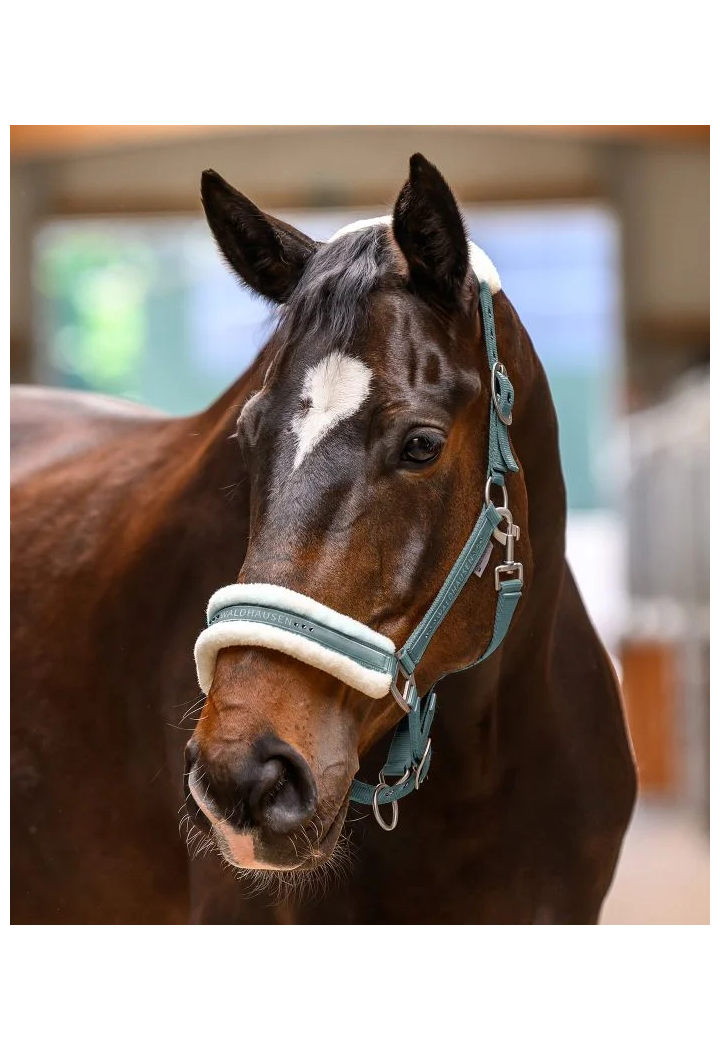 Kantar WALDHAUSEN Elegant wiosna/lato 2026