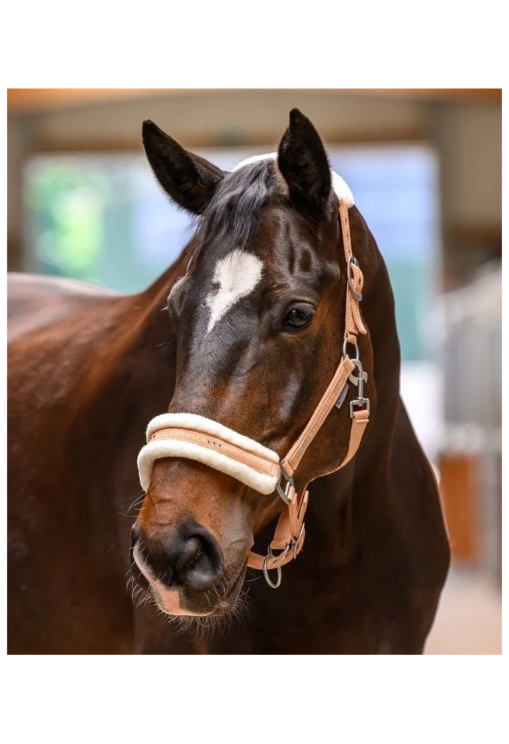 Kantar WALDHAUSEN Elegant wiosna/lato 2026