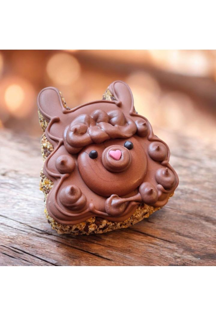 Ciastko PAKA DLA RUMAKA Alpaka Brązowa