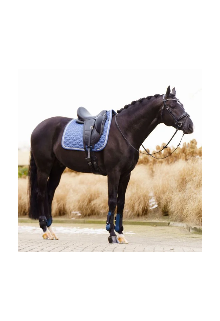 Czaprak ujeżdżeniowy Imperial Riding Lenny